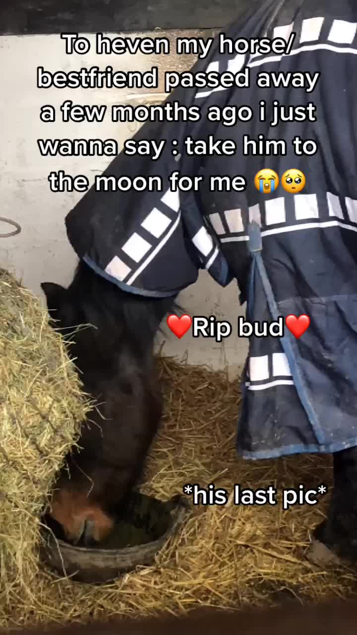 @Bff