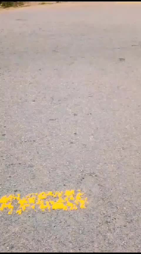 @houduymays