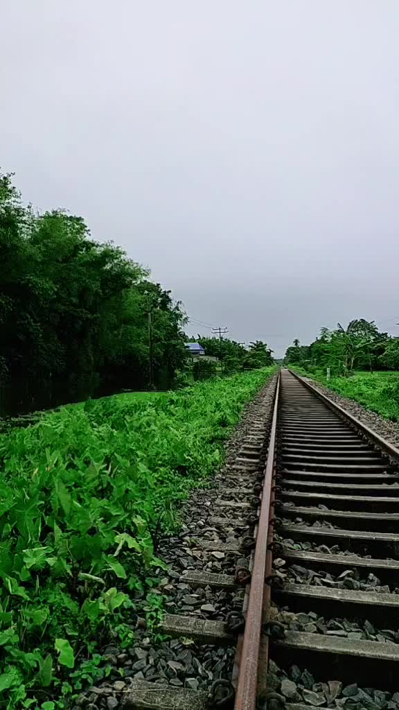 @user032727 Gayatri