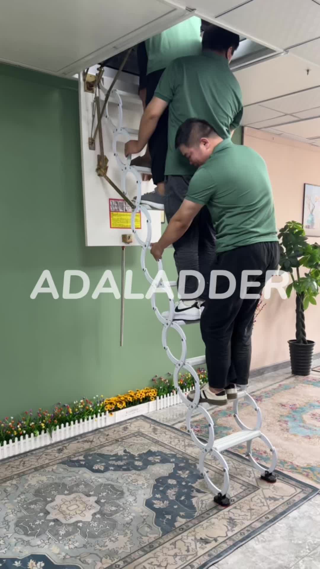 @Renee_attic ladder
