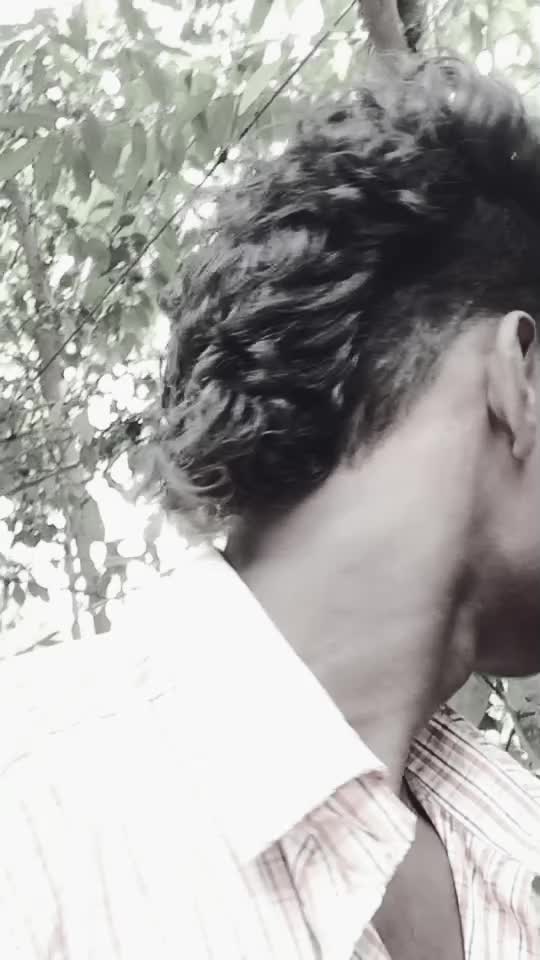 @S Yovel Yovel