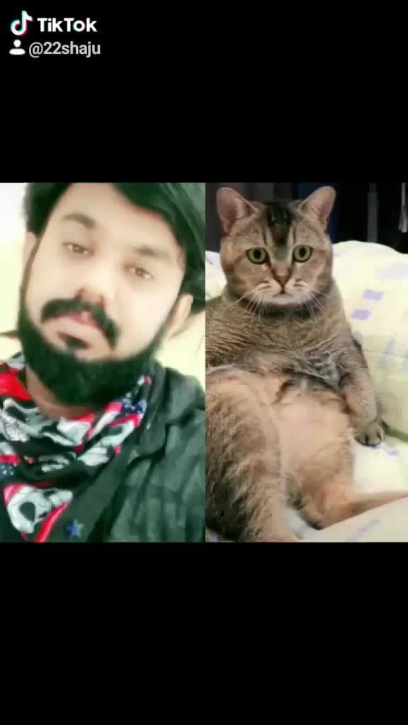 @user97983217929