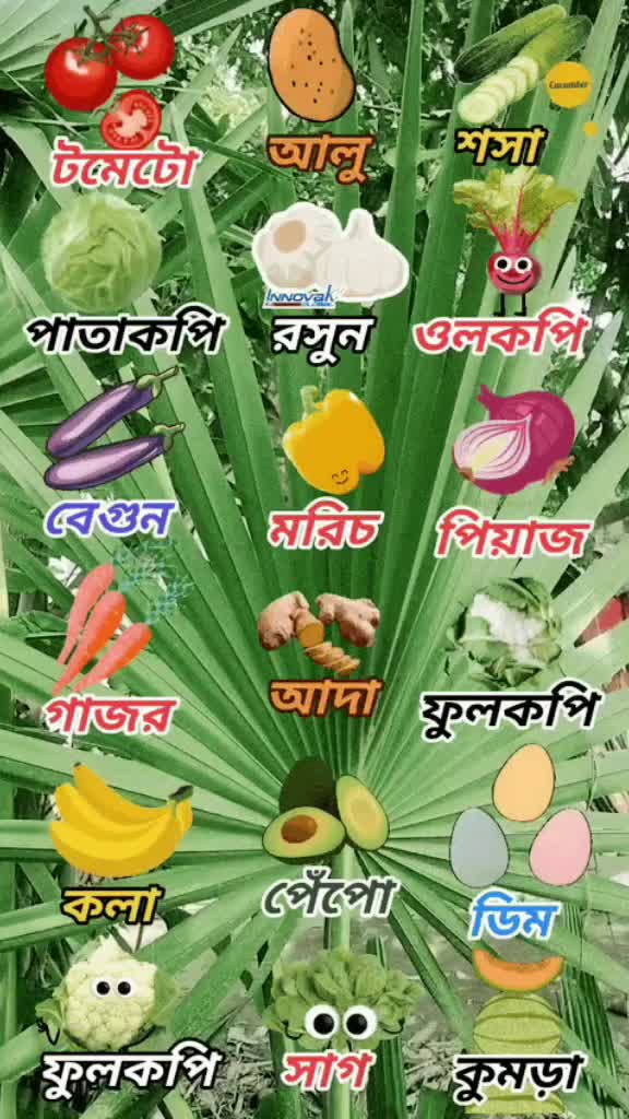 @🇧🇩🇨🇦.FF Bad Boy...🇶🇨🇦✈️