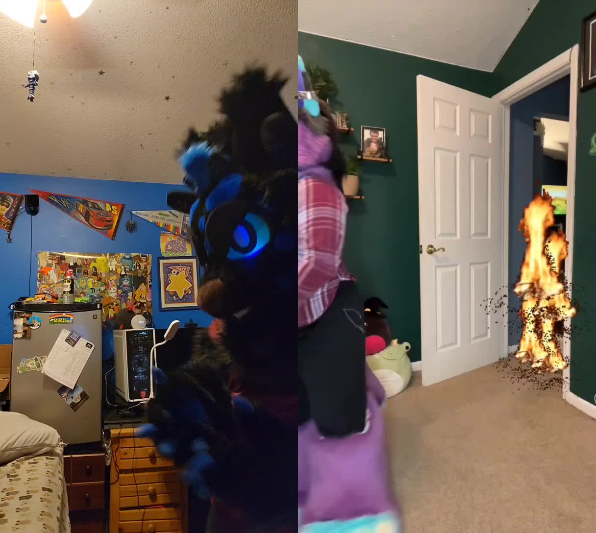 @DashTheNightFuryTaidum