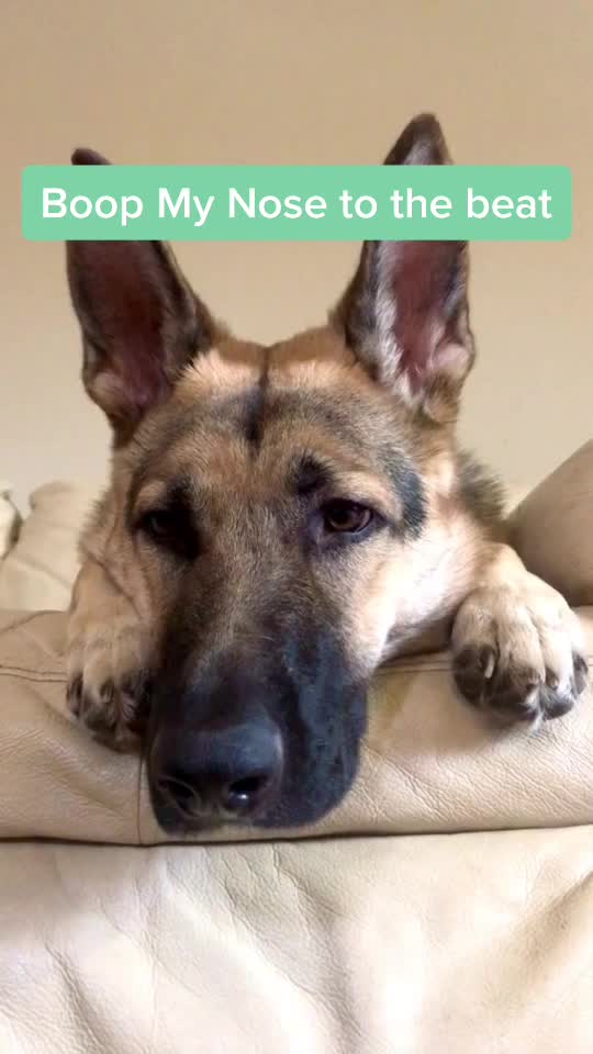@🐶 Lily 🐶