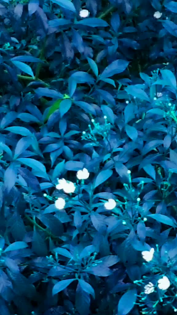 @gopinathnaik123