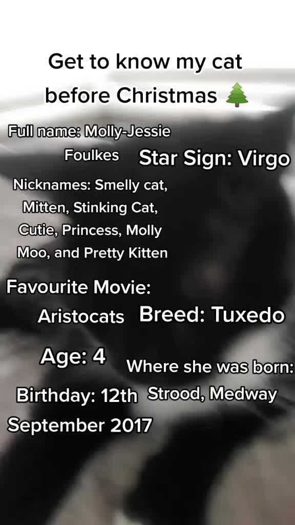 @Quirky Content Only😜 🐈