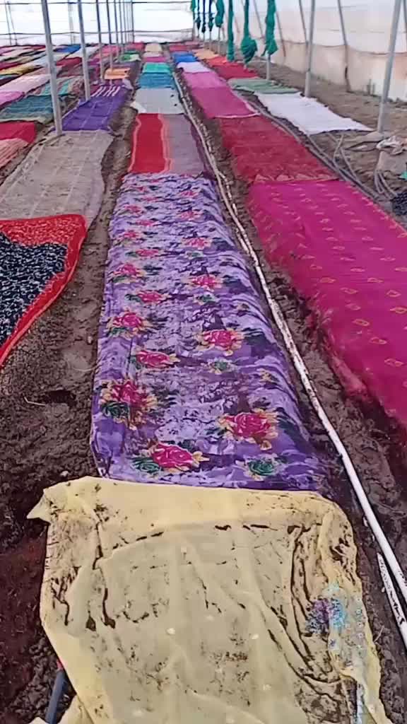 @Bharat Singh