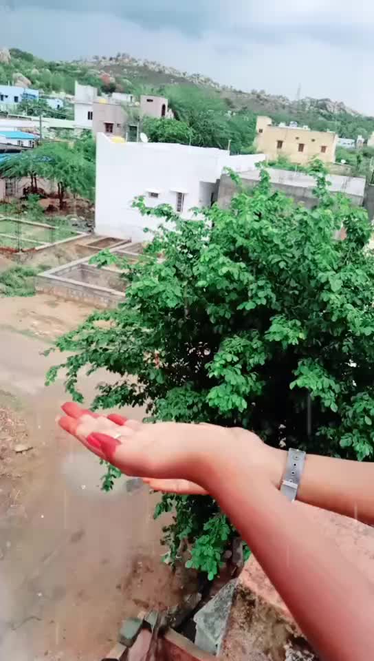 @vini_vinitha