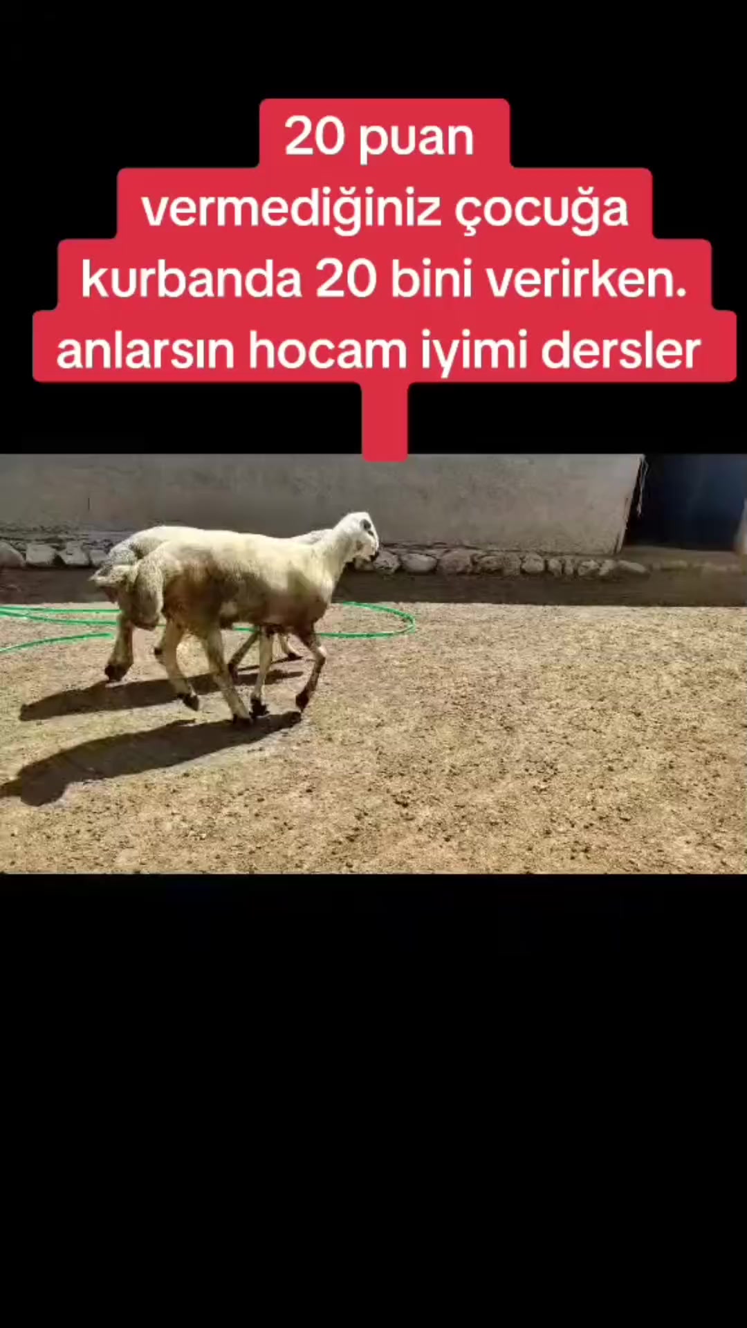 @Ozan Ak&ccedil;ay