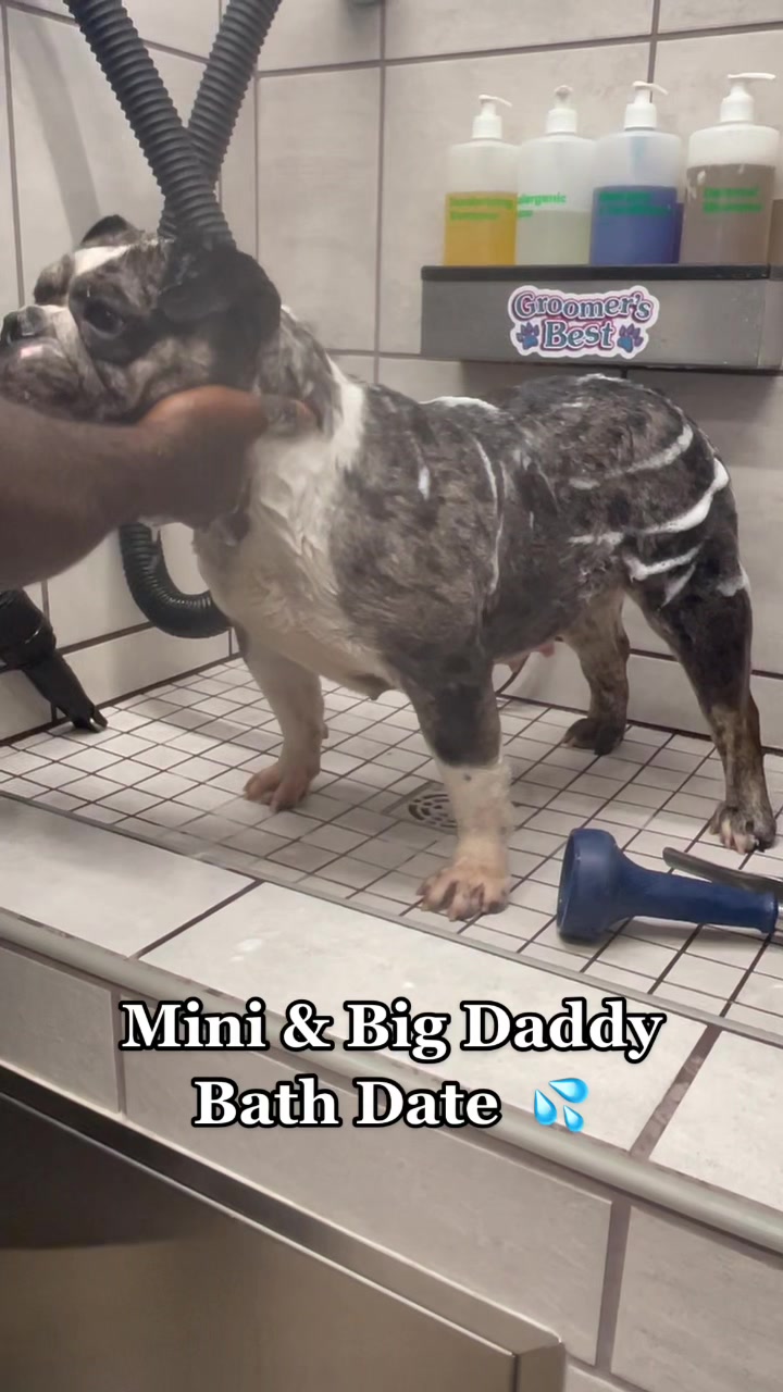 @BulldogMafiaGroup