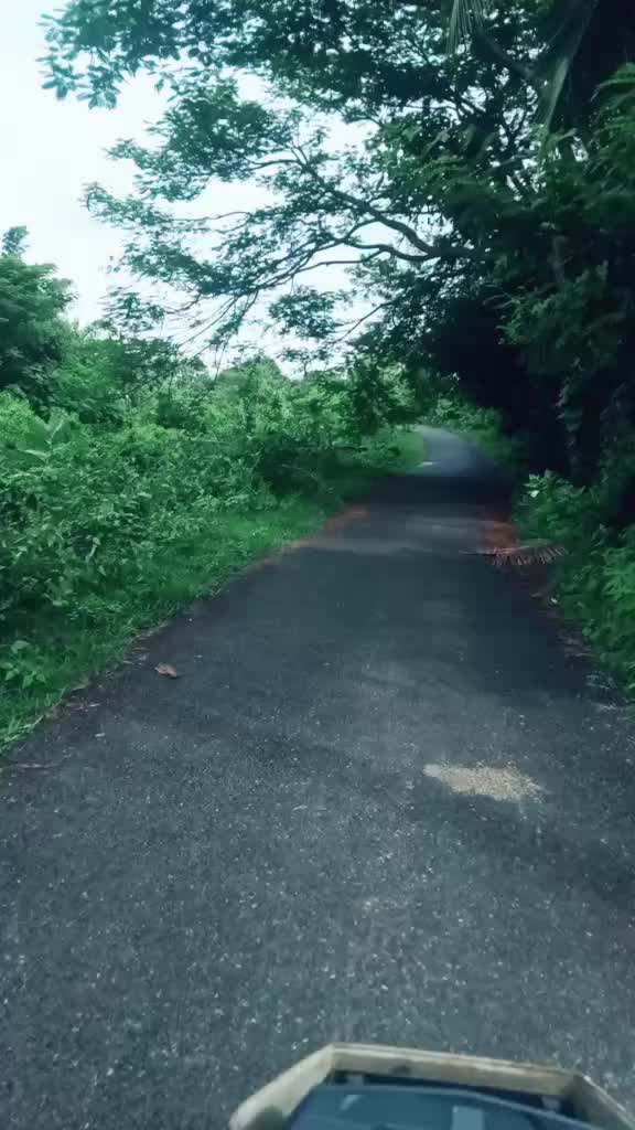 @Prajeesh K