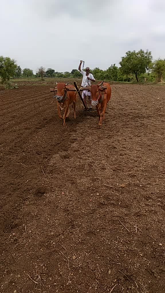 @md pawar