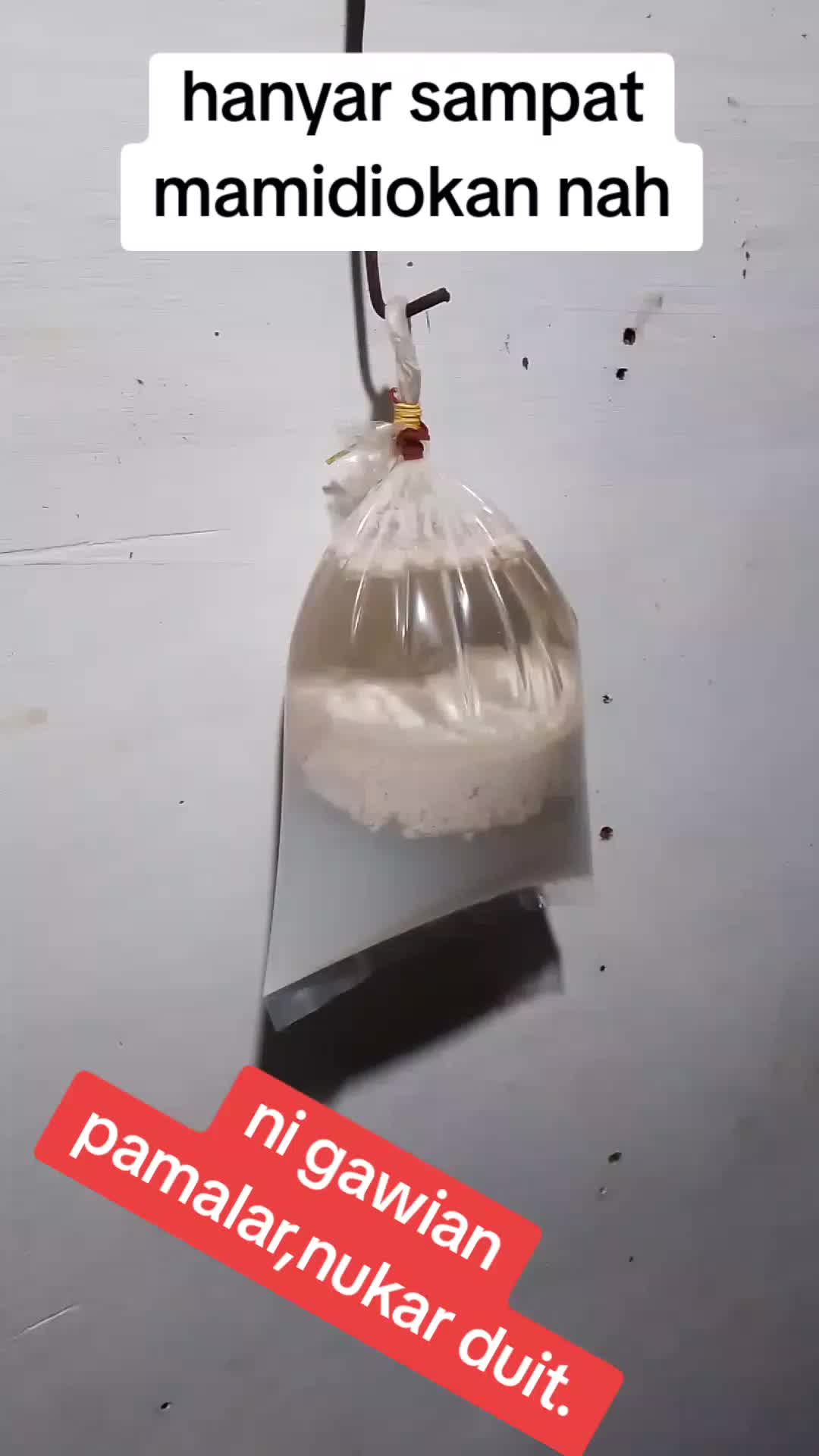 @icuy761
