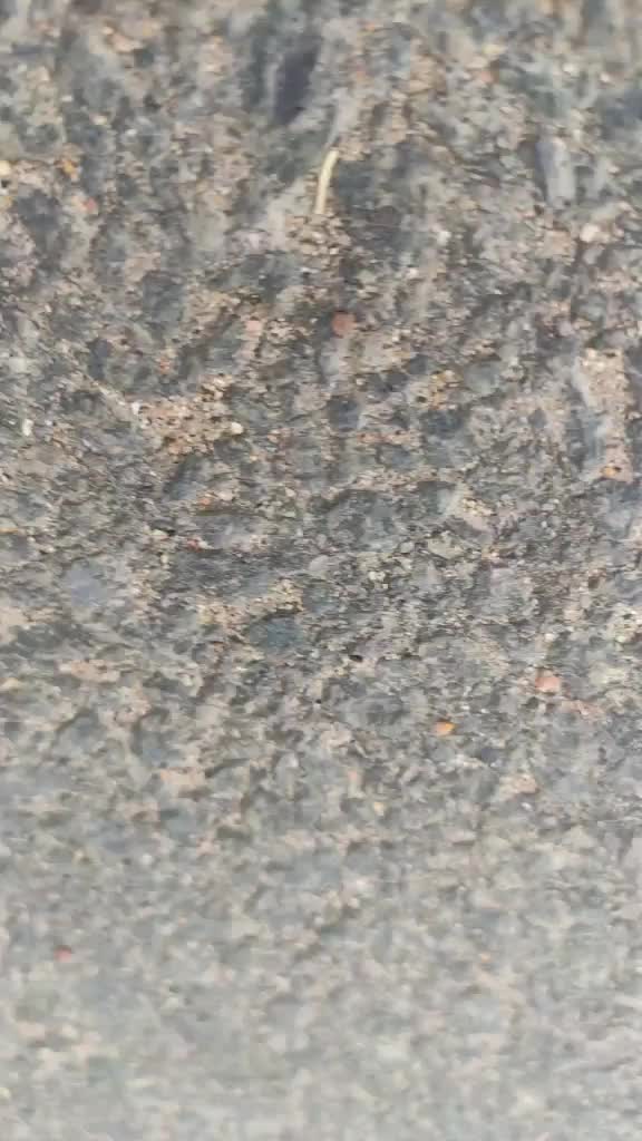 @raj_kumar_2300