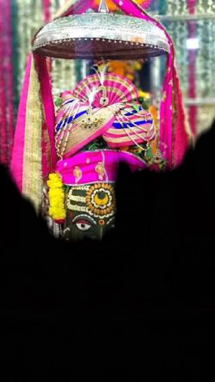 @harish mandloi