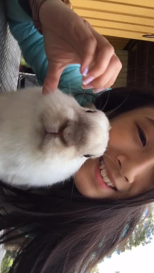 @🐰❤️