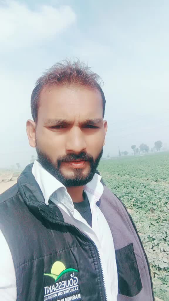 @user2369908885340