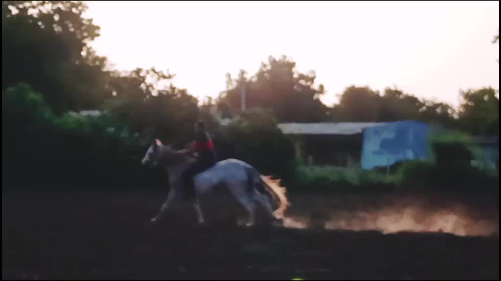 @🏇Sonu rider🏇