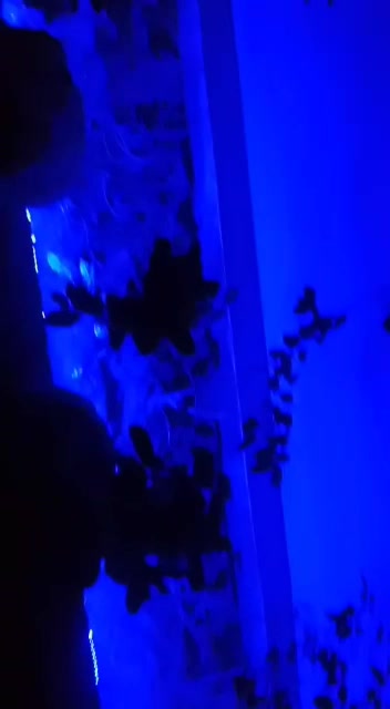 @ÁŅŇ'ĀĄ BƏŁĻØ