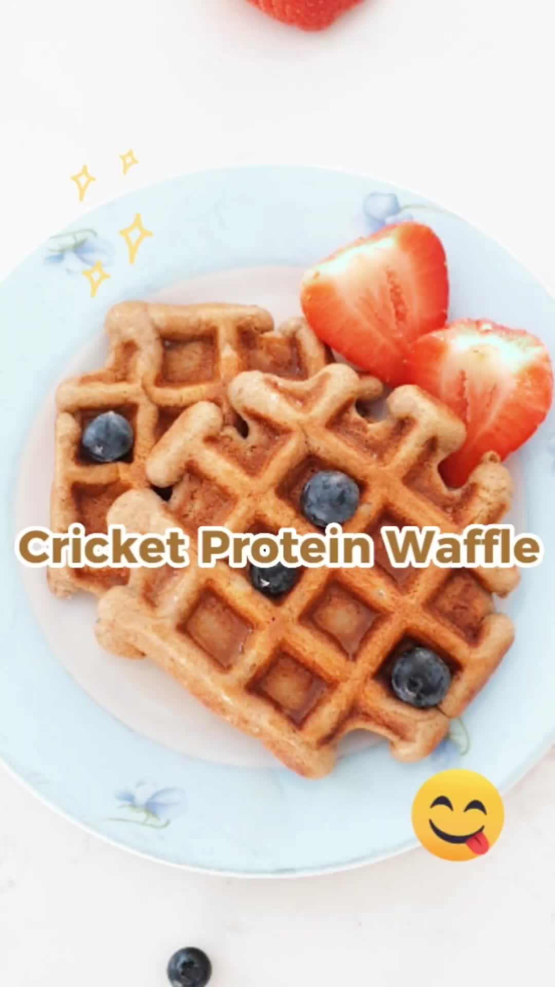 @proteincricket