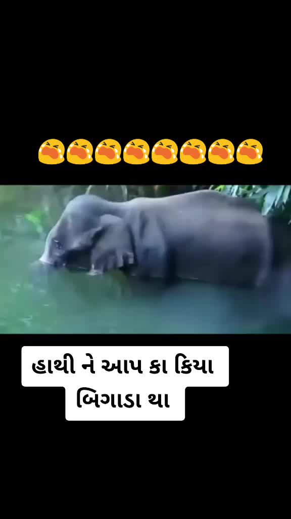 @🙏mogal wala🙏