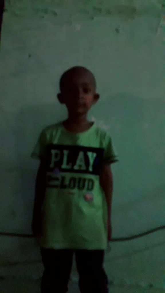 @animesh king model