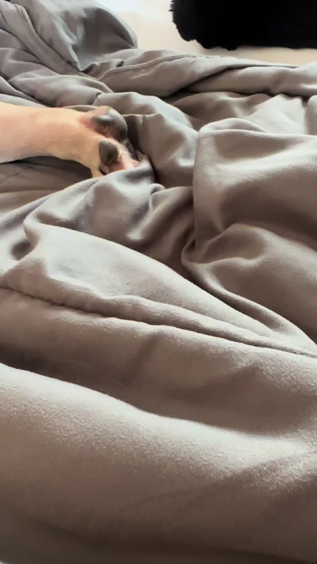 @IamWalter
