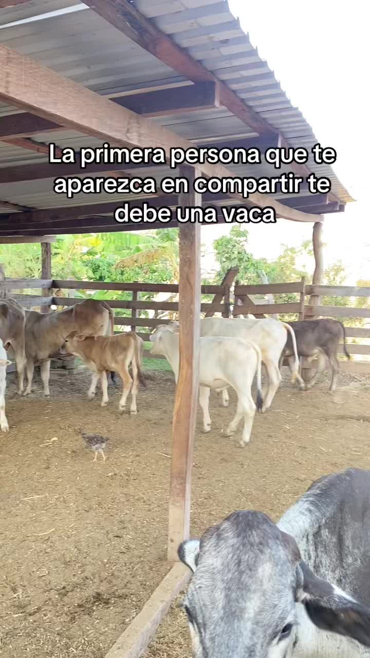 @🐮Itzel🫧