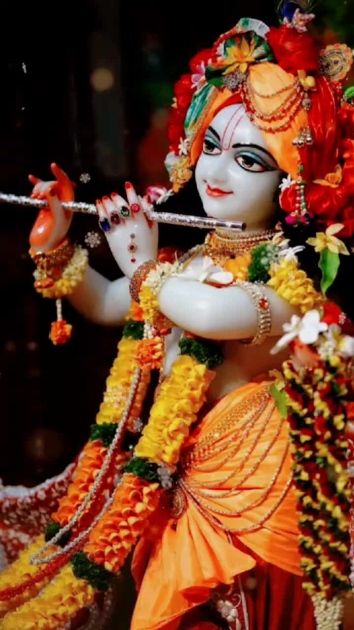 @Lipu Majhi958