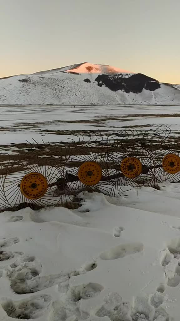 @Dante Duri