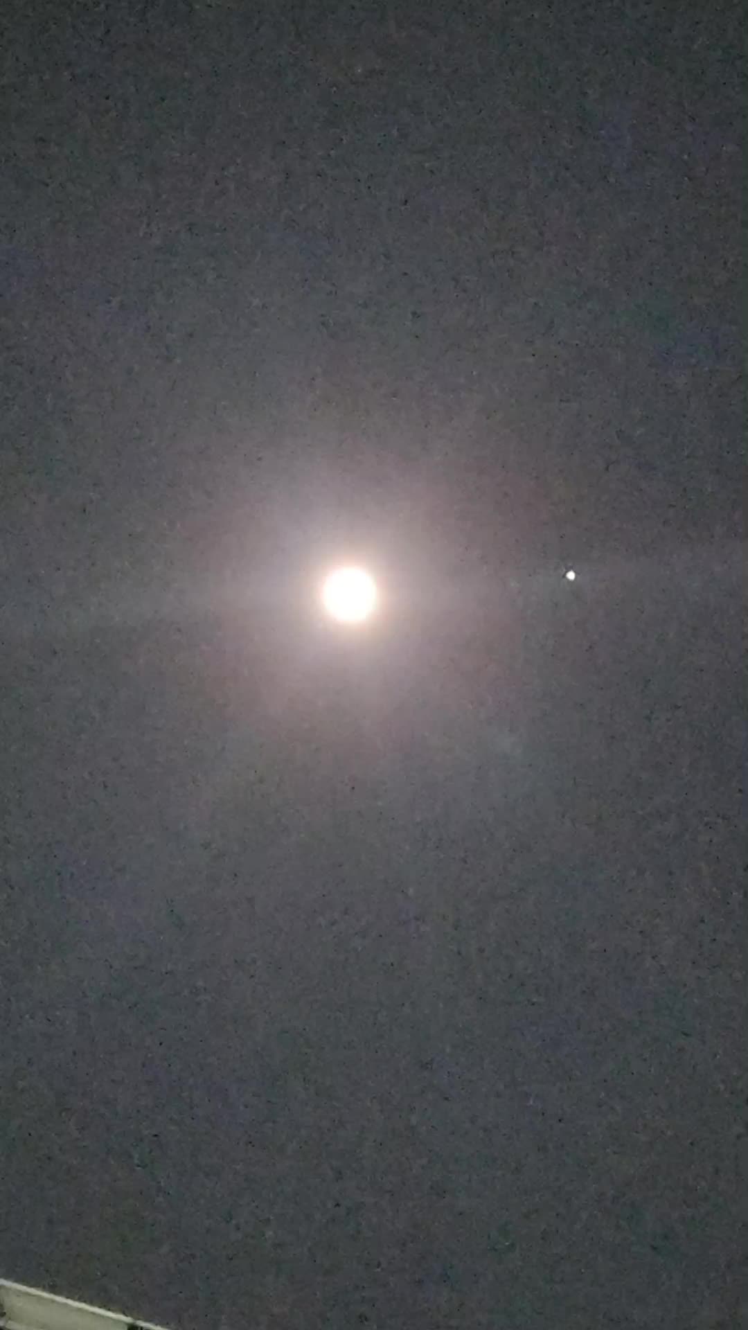 @우쭈쭈쭈본계정1