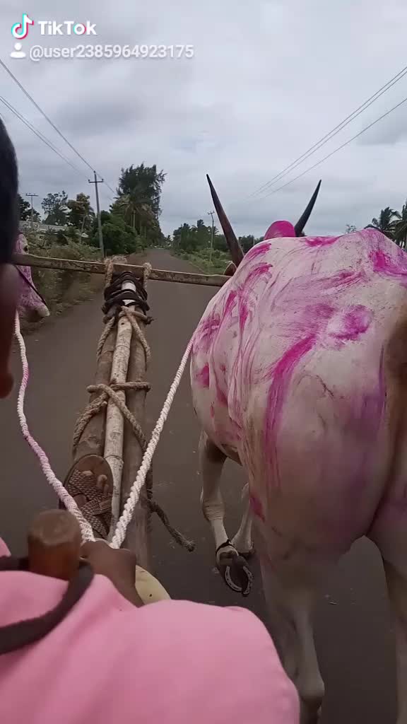 @user2385964923175
