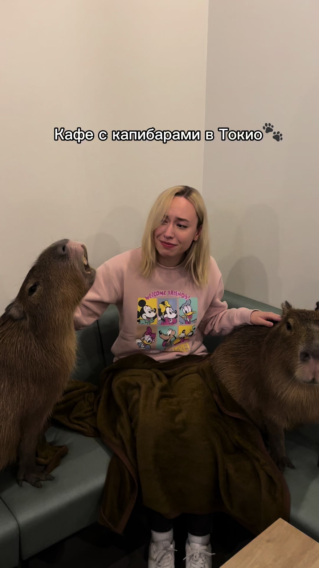 @Тоня и Катя тг: ohayovlog