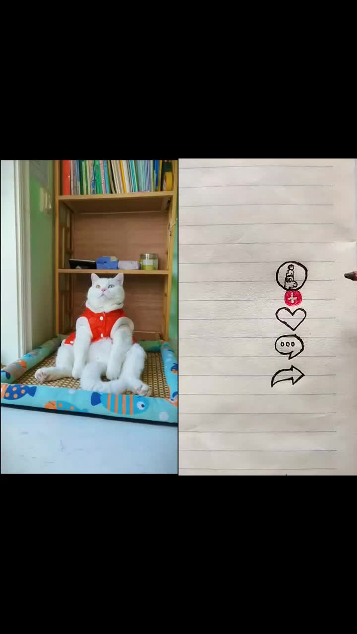 @MAX76UR5