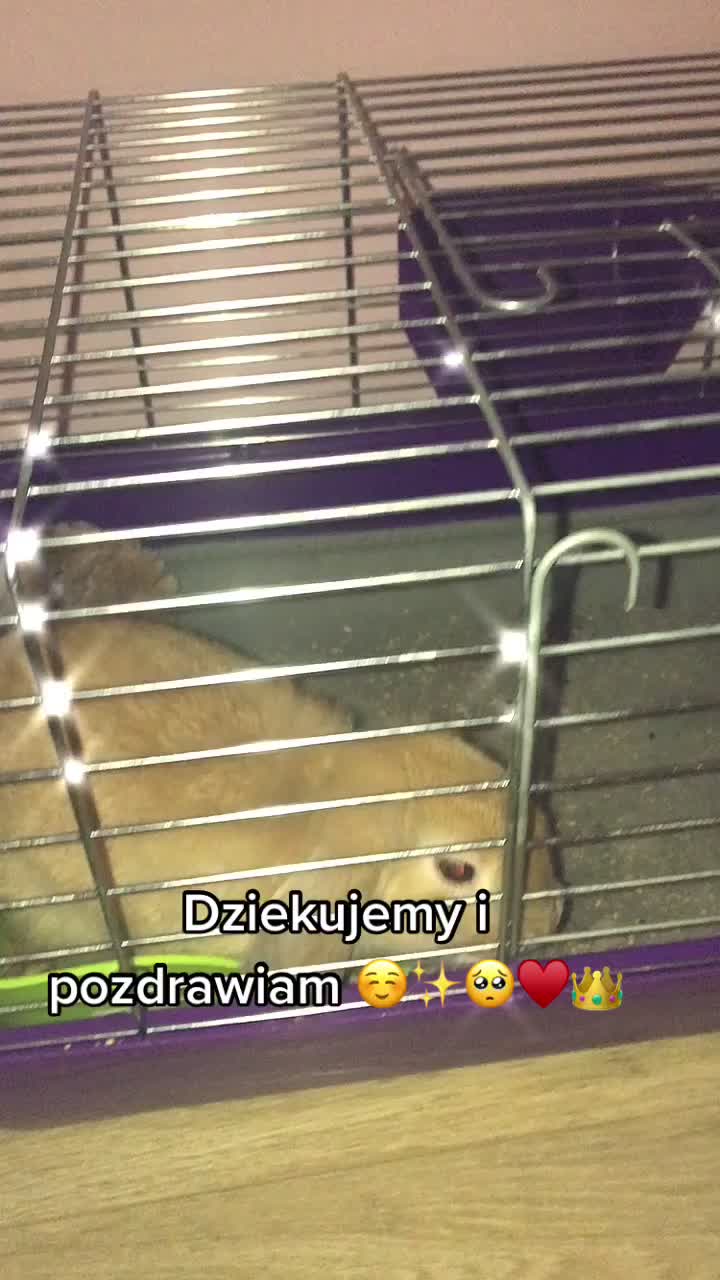 @Aleksa Minka