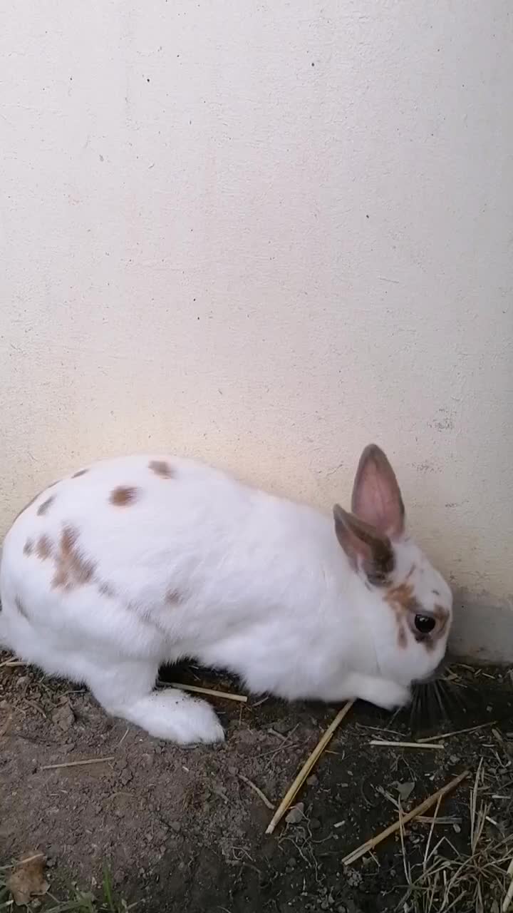 @✌︎