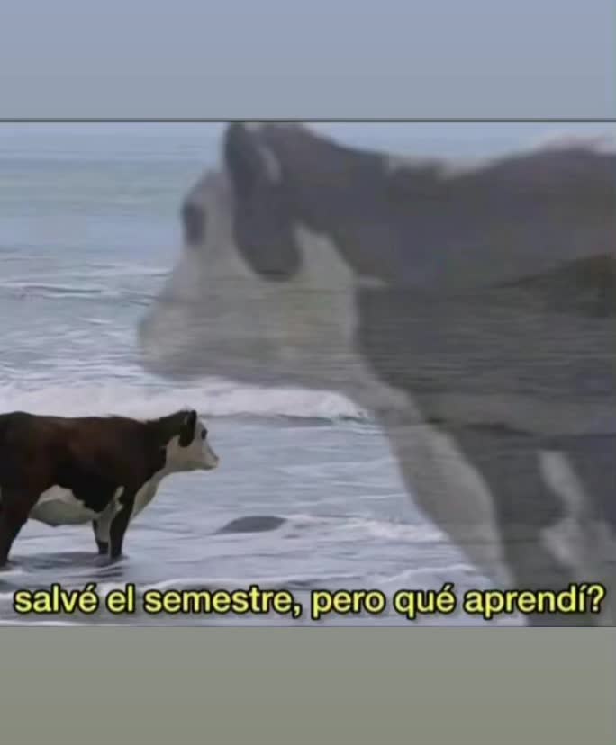 @Contenido variado