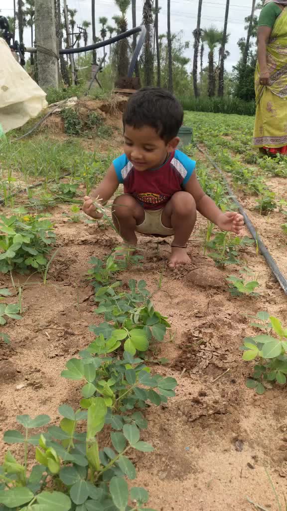 @Boppudi Satyanarayan