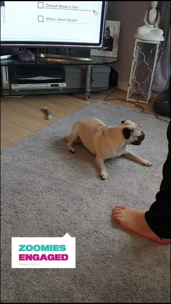@T