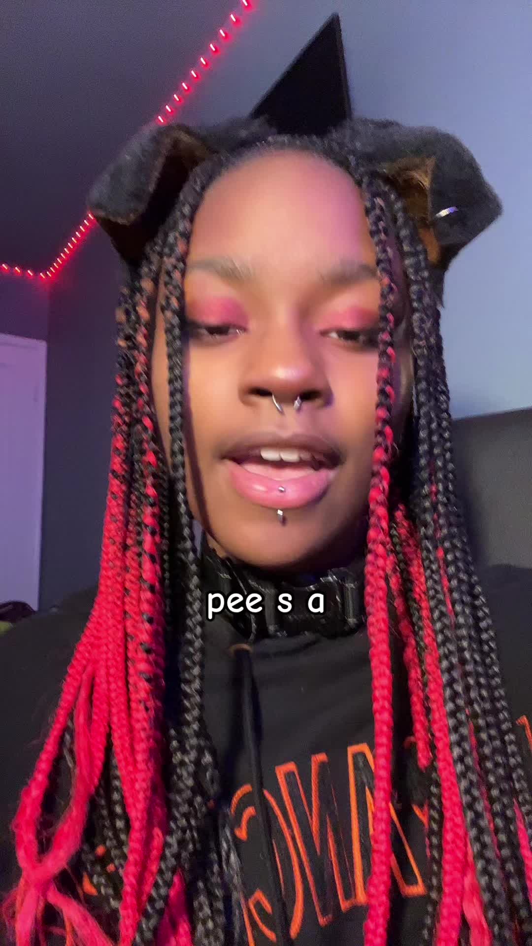@comfypuppi