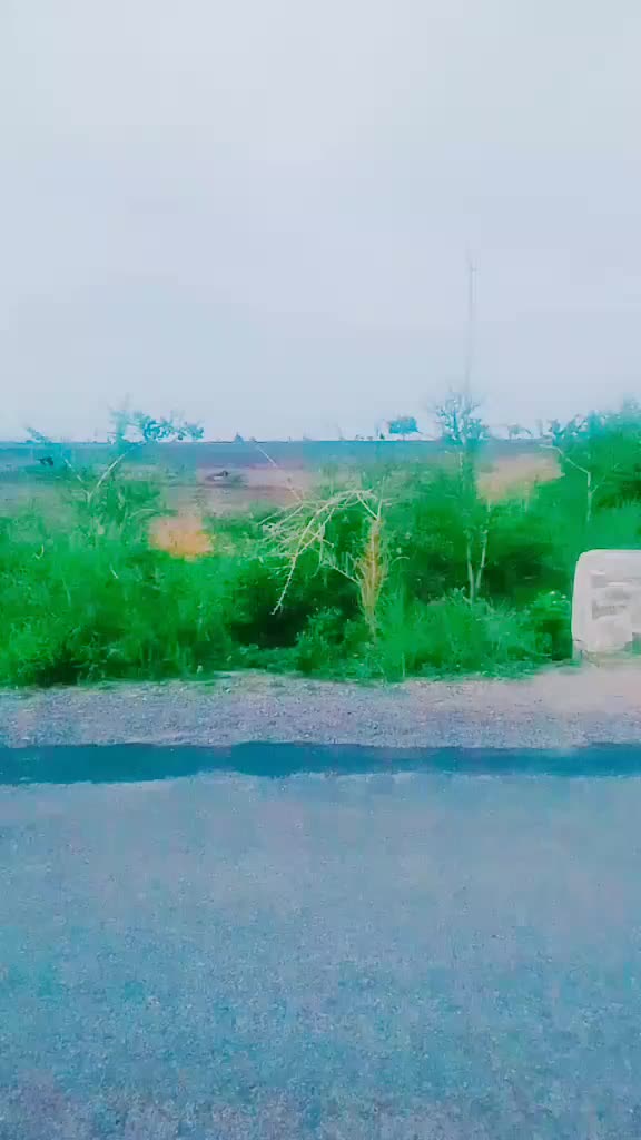 @shivukumar