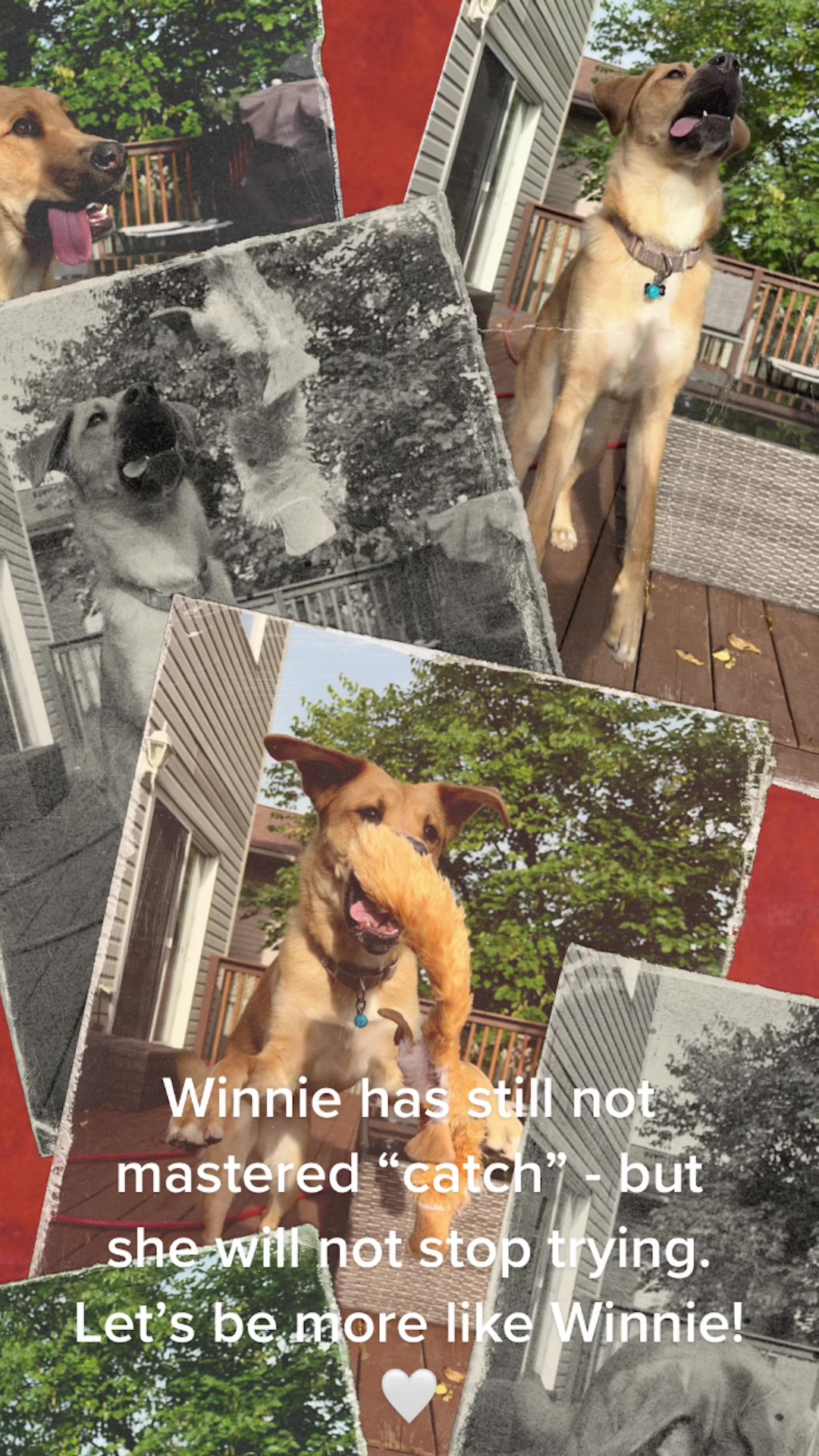 @Winnie