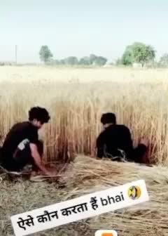 @Mansoori Shibu