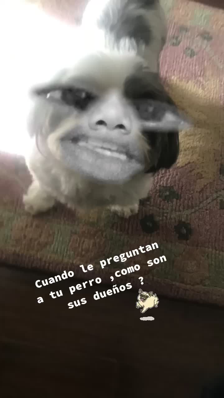 @Ara