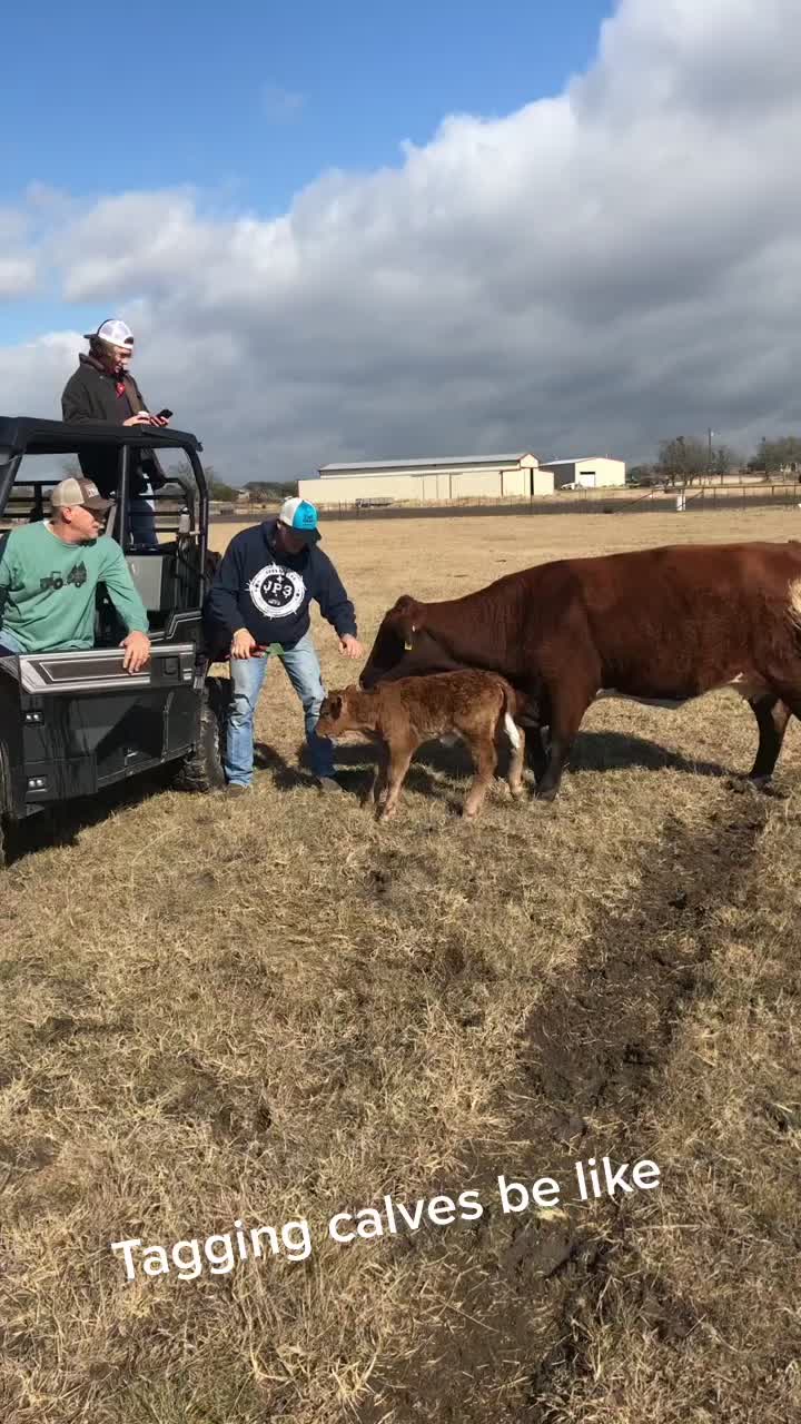 @Dakota New