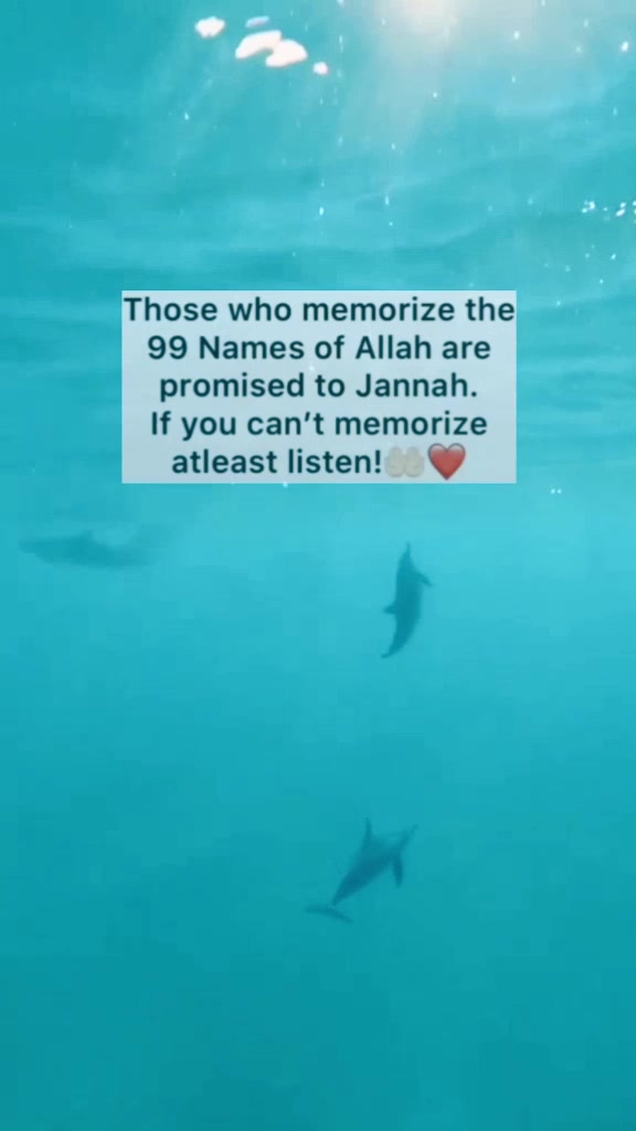 @Two hijabis🧕🏻❤️🧕🏻