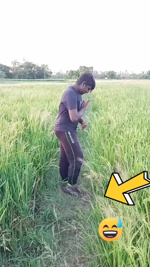 @Perarasu Perarasu