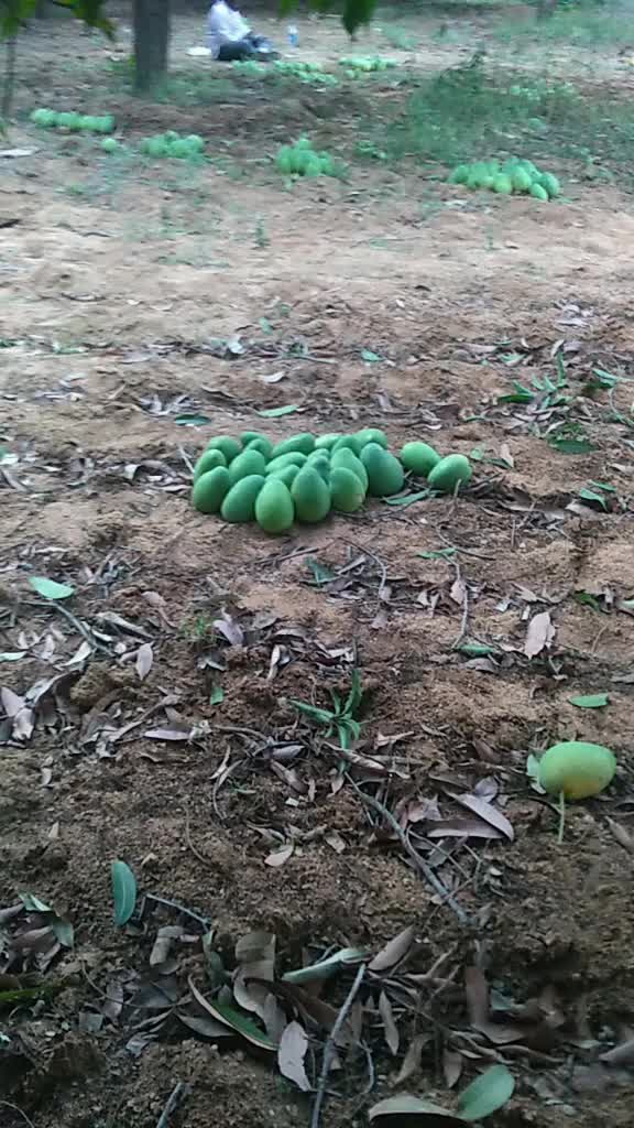@Hari Barathi