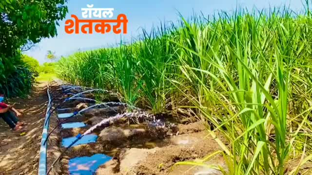 @Chandrakant Bhilawad